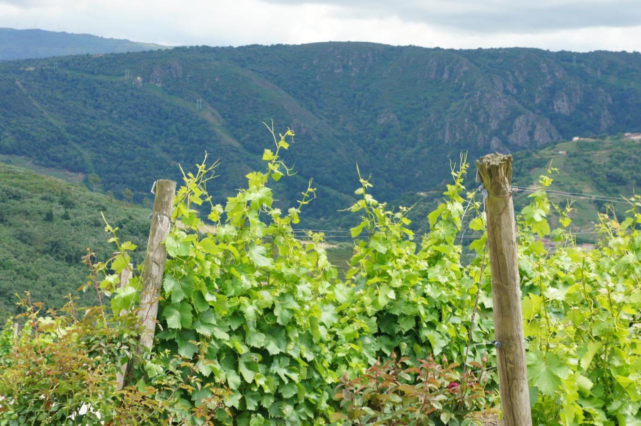 소베르 O Forno Casa Ferrador Ribeira Sacra 아파트 외부 사진